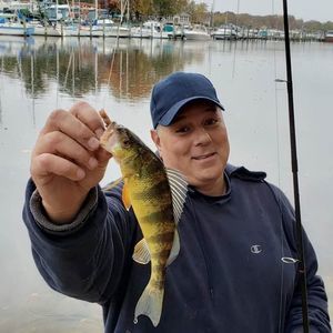 Meet your Posher, Ralph